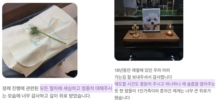 인천 강아지 장례 후기 이미지