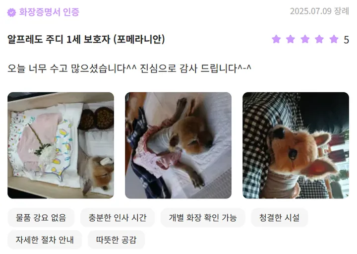 인천 반려견 장례식장 보호자 후기
