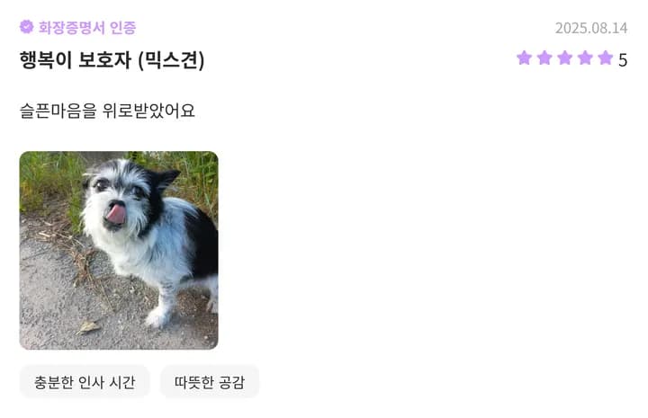 전주동물장례식장 이용후기