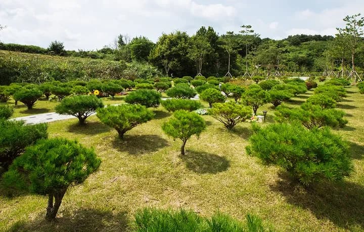 전주 강아지 화장터 안내 시설 추모 공간