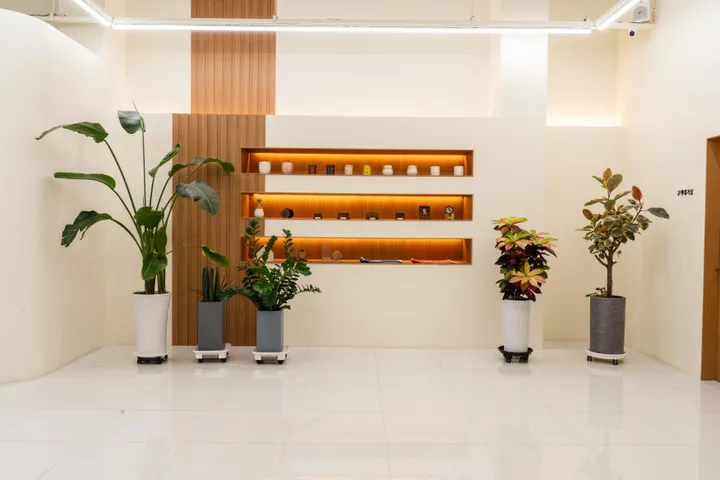 새끼고양이 장례식장 이미지