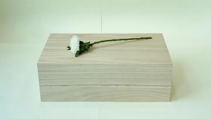 죽은 반려동물을 담은 관