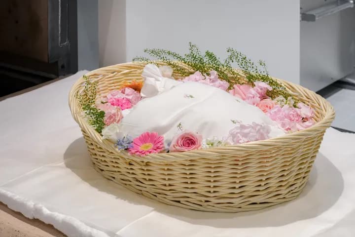 펫나잇 안심 장례식장 운구 서비스