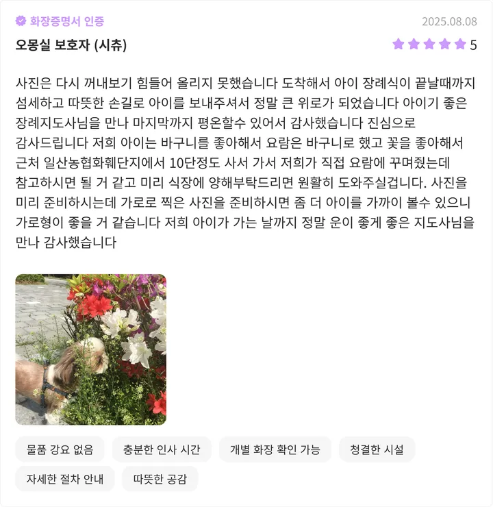 파주 강아지 화장터 후기 이미지
