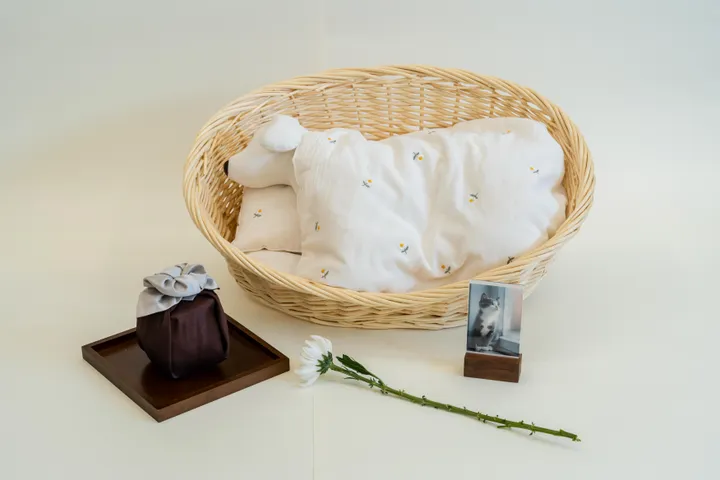 파주 강아지 화장터 장례용품 선택 옵션