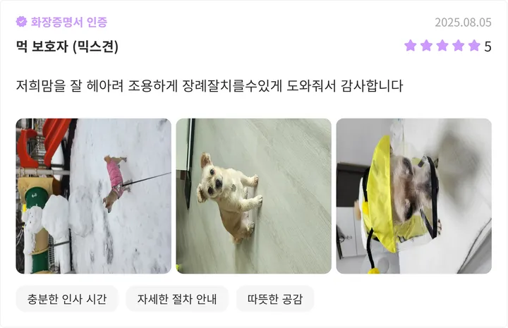 파주 강아지 화장터 후기 이미지