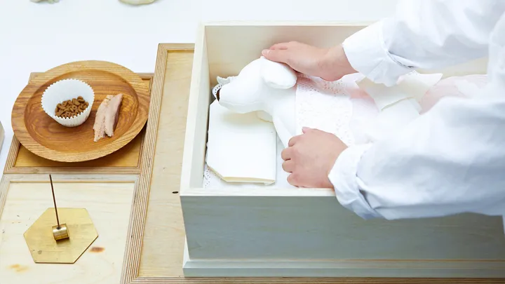 애완동물 화장비 상담 후 장례 준비