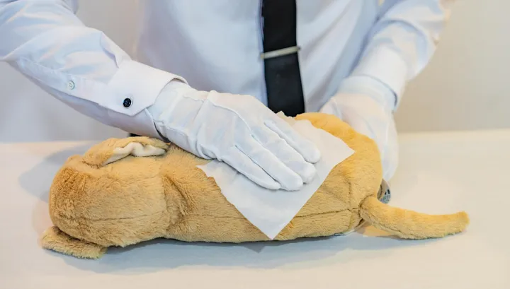강아지 장례비 절차 흐름을 보여주는 이미지 3