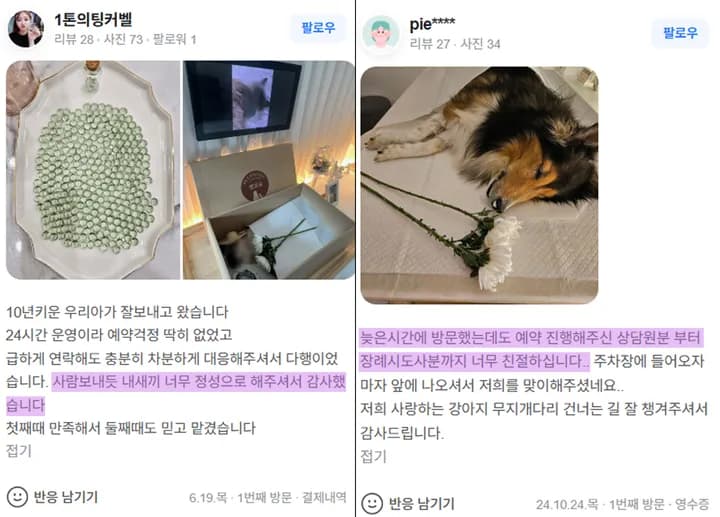 세종 반려동물 장례식장 보호자 후기