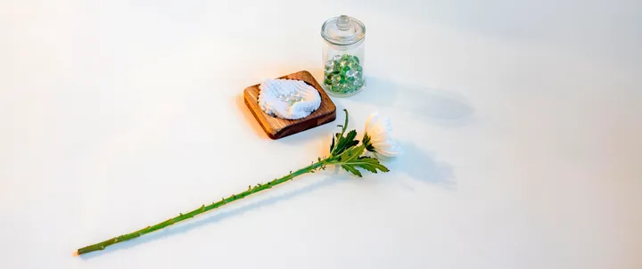세종 반려동물 장례식장 루세떼 추모보석
