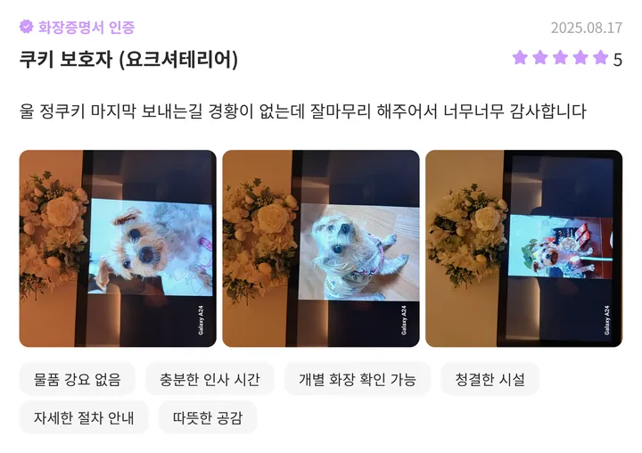 서울애견장례식장 파주 보호자 후기 1