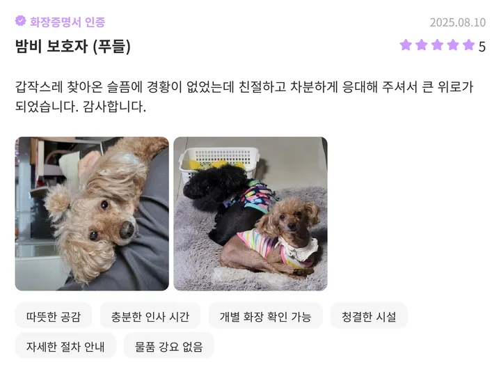 서울애견장레식장 용인 보호자 후기 2