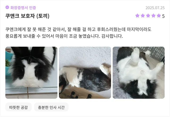 수원고양이장례 이용자 후기
