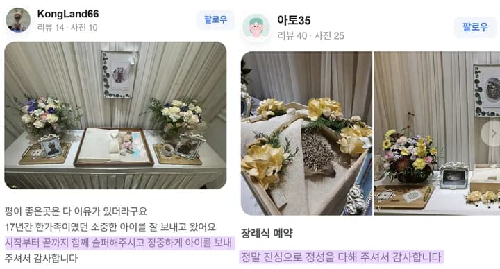수원 애견 장례 후기
