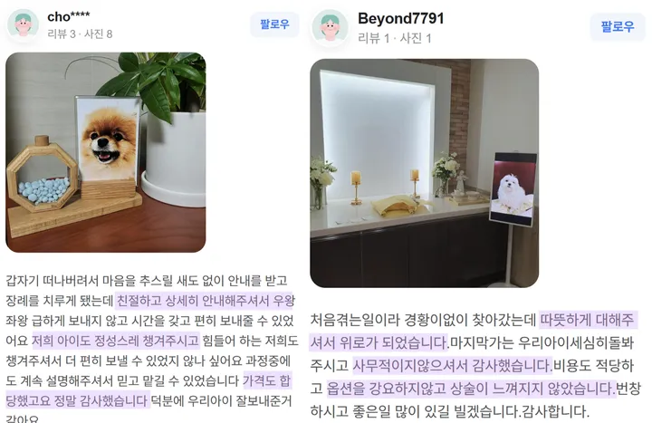 울산 강아지 화장 보호자 후기