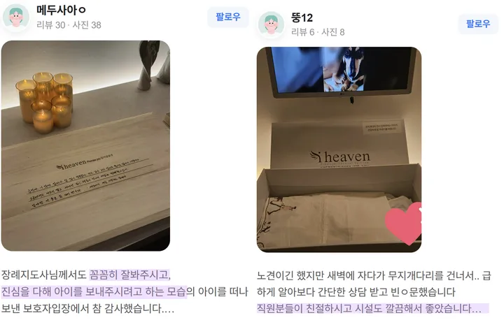 울산 강아지 화장 김해 보호자 후기