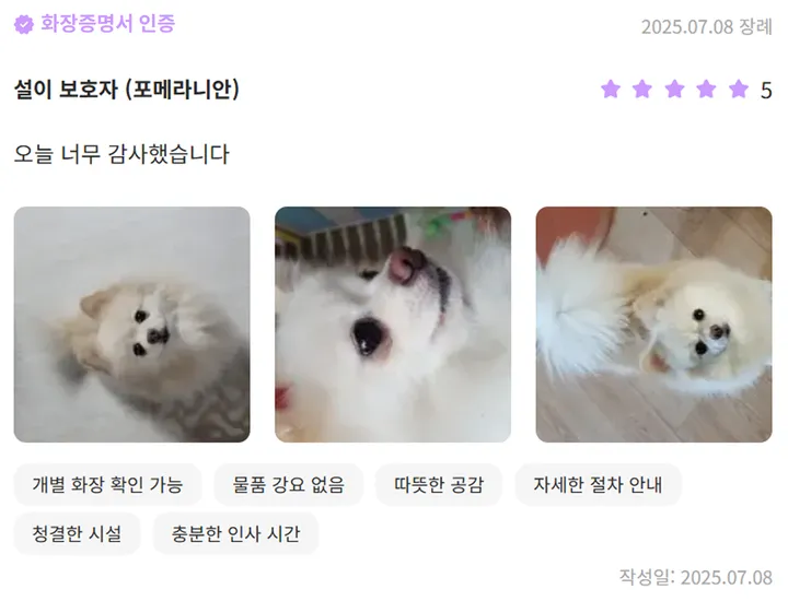 불법 울산 동물 장례식장 실태