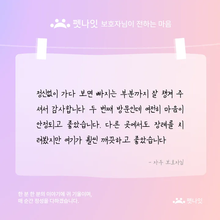 아이헤븐 후기 이미지 - 자두 보호자님