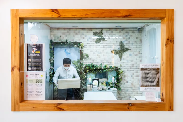 원주애견장례식장 전문 서비스