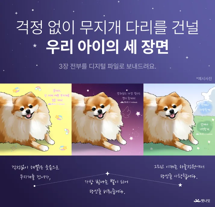 펫나잇 반려동물 장례 서비스