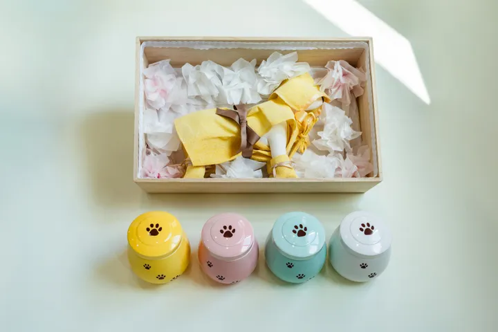 양산 반려동물 장례 운구와 방문 준비