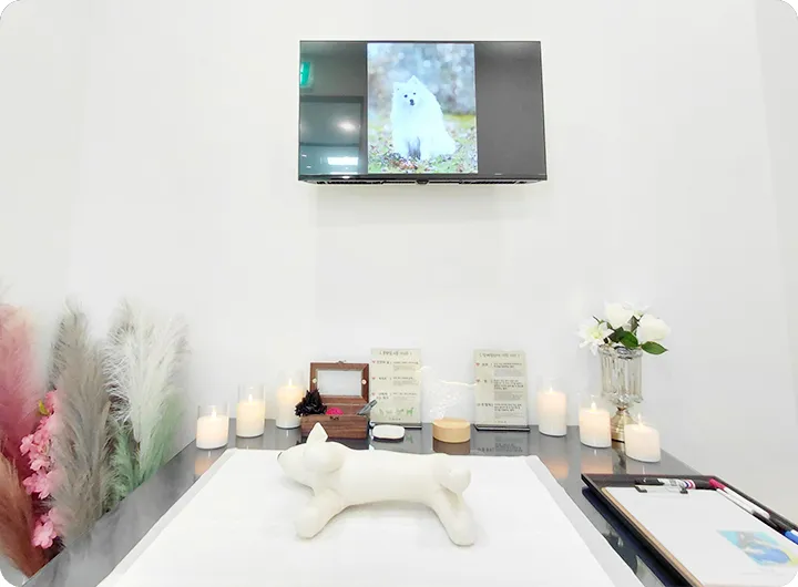 광주 강아지 장례식장 추모실 준비 공간