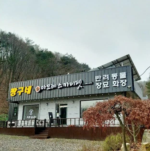 대전스카이펫 메인 이미지