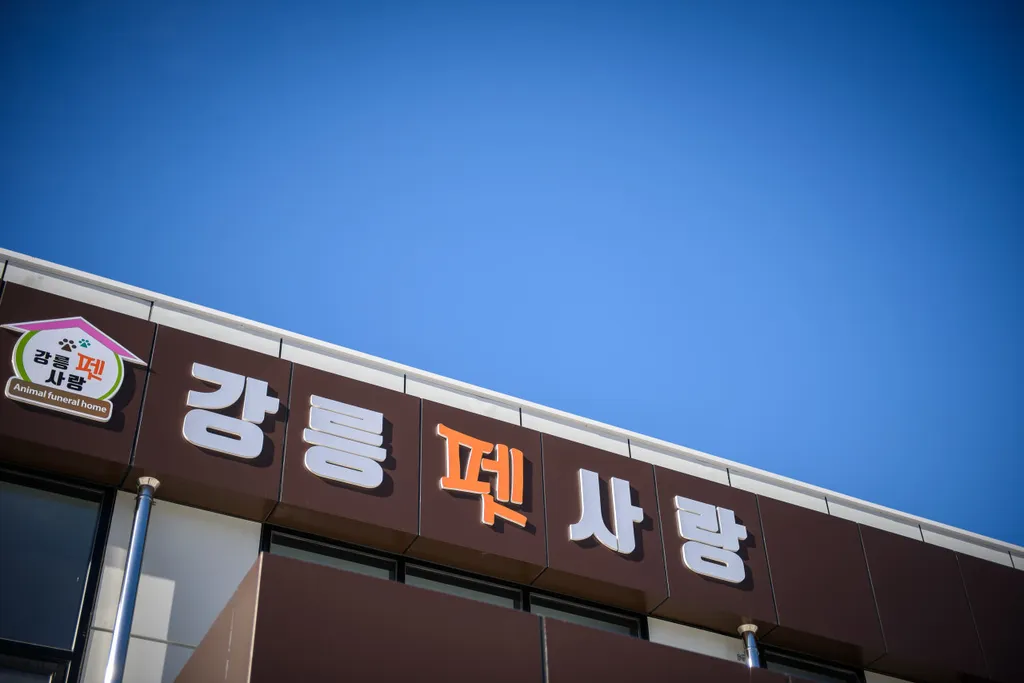 강릉펫사랑 메인 이미지