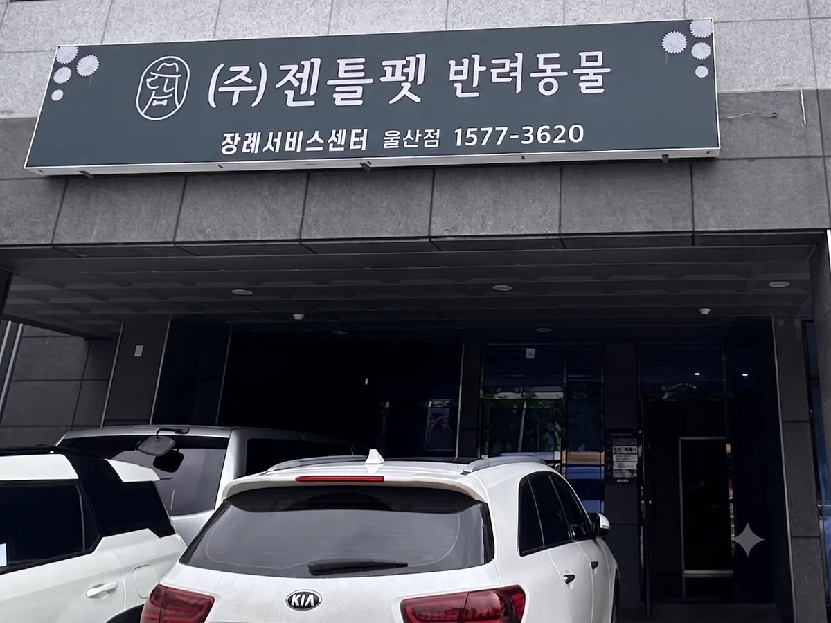 젠틀펫 울산점 메인 이미지