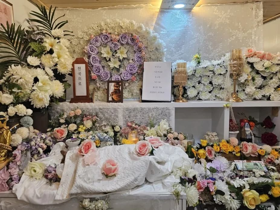 젠틀펫 울산점 메인 이미지