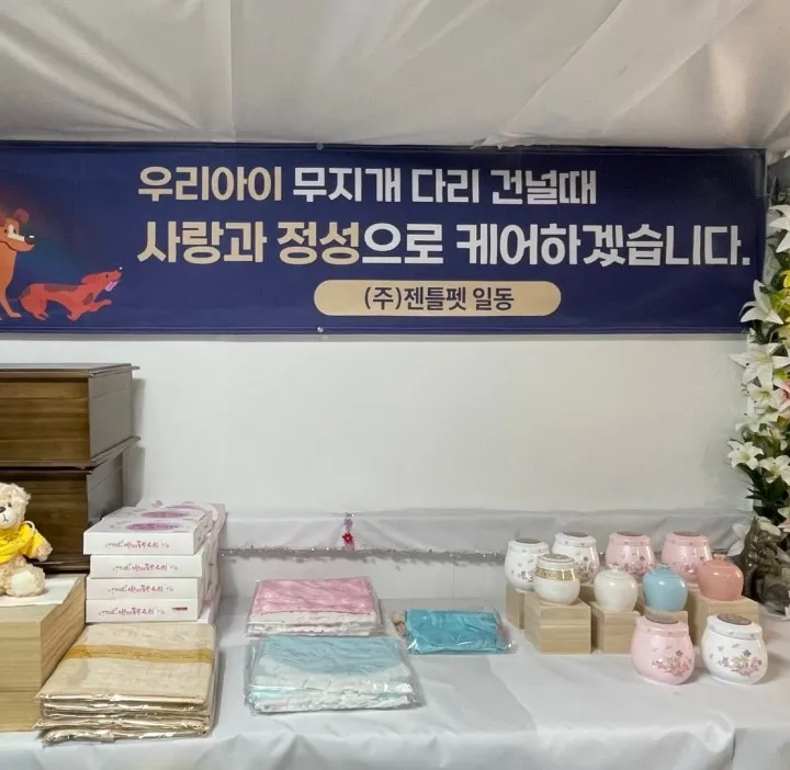 젠틀펫스타 메인 이미지