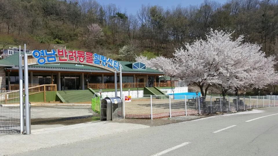 대구 고양이 장례식장 안내 시설 외관