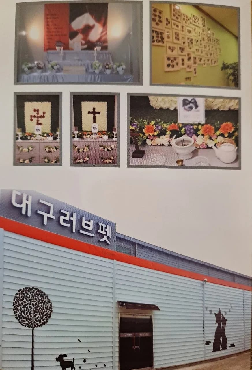 러브펫 대구점 메인 이미지
