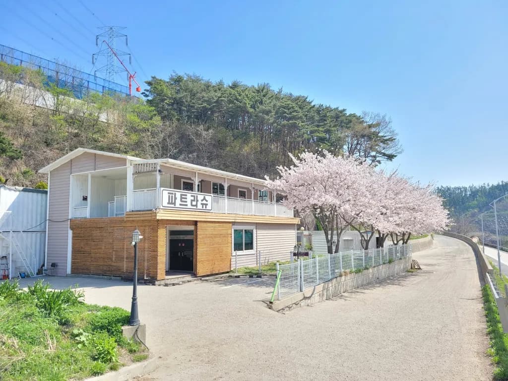 파트라슈 메인 이미지