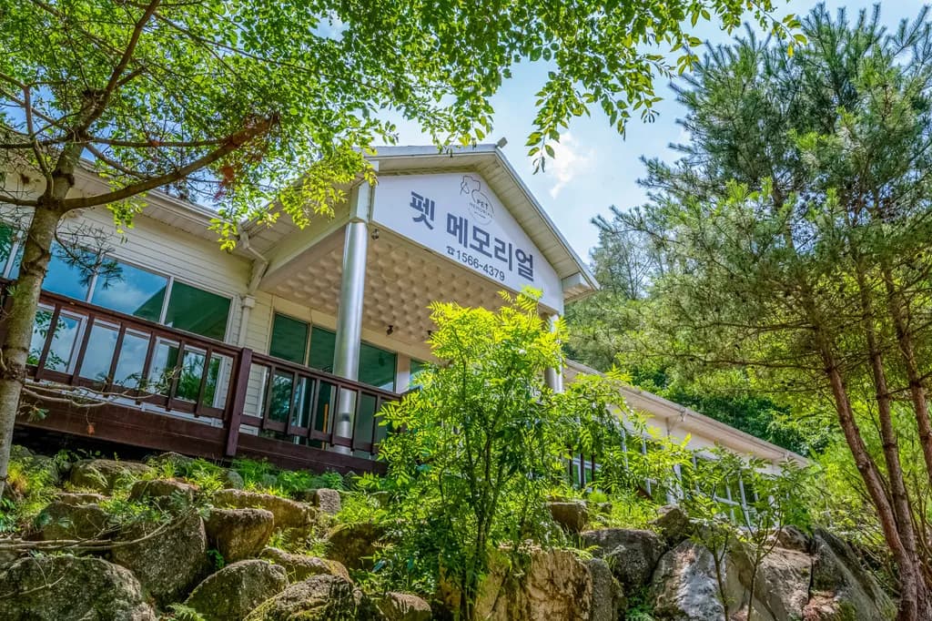 펫메모리얼 메인 이미지