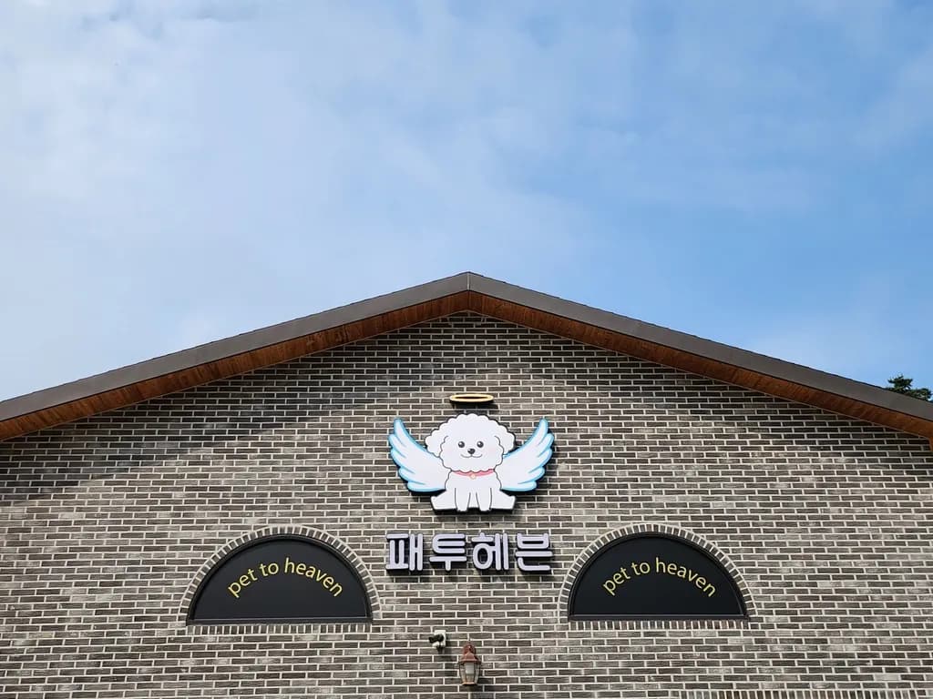 패투헤븐 메인 이미지