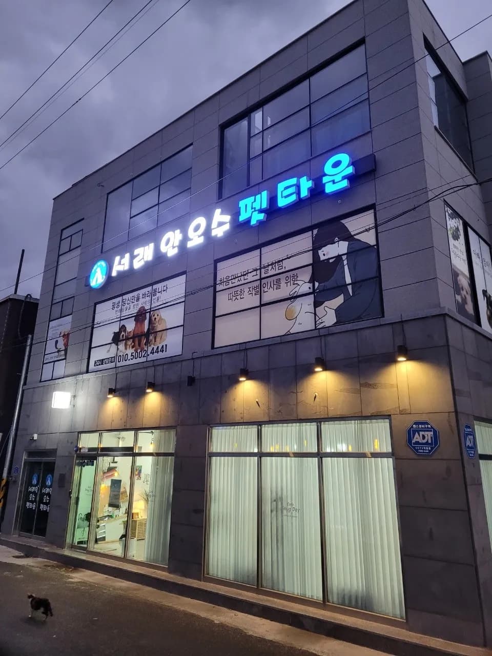 서래안펫타운 메인 이미지