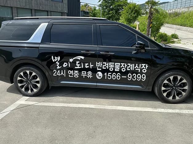 별이되다 비동행 장례 이미지 0