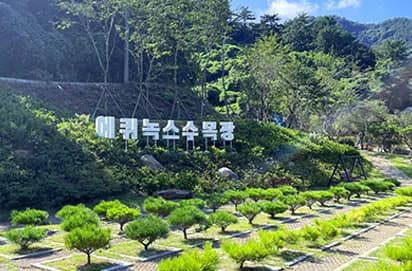 하늘소풍 에퀴녹스 수목장 이미지 0