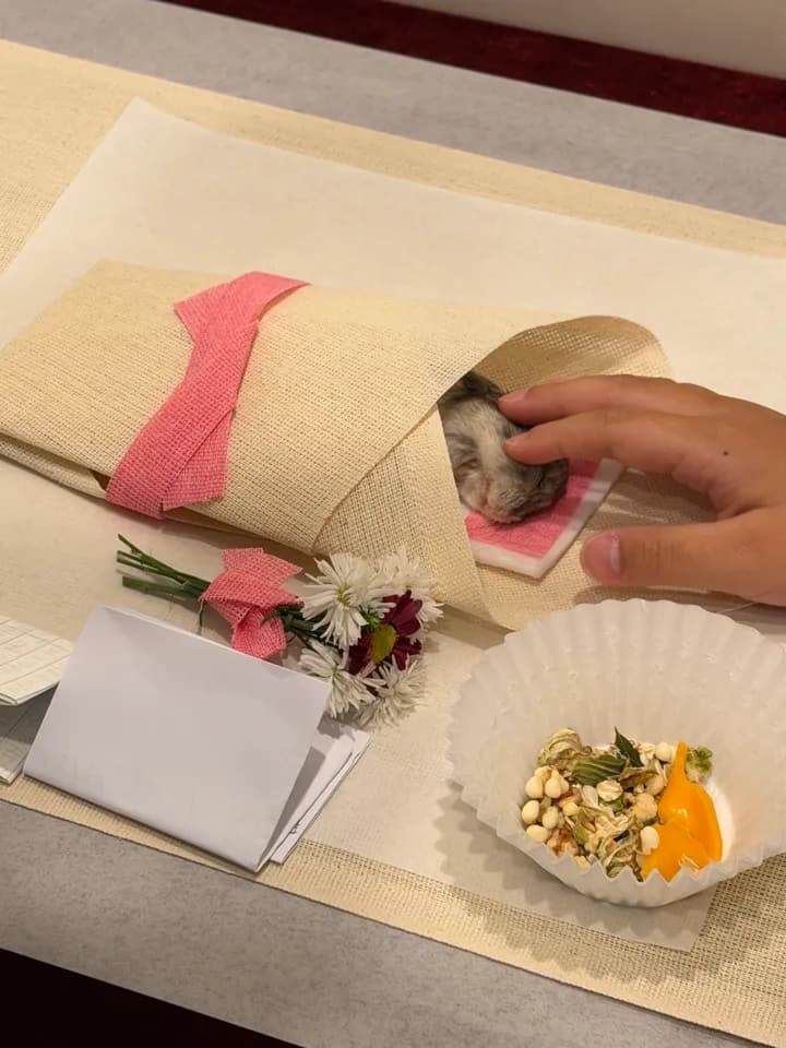 깜비 보호자님의 후기 사진