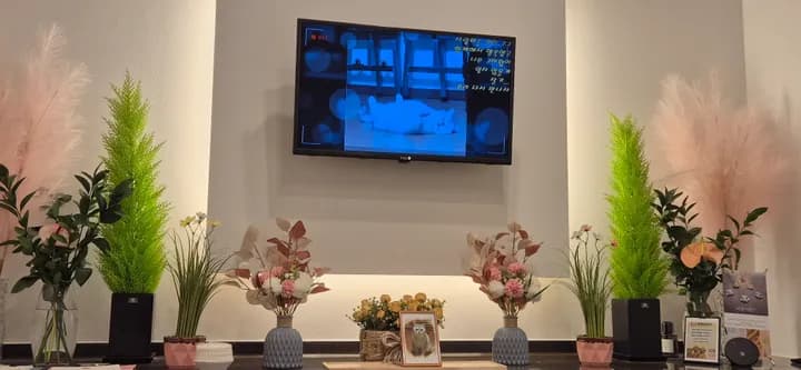 코코 보호자님의 후기 사진