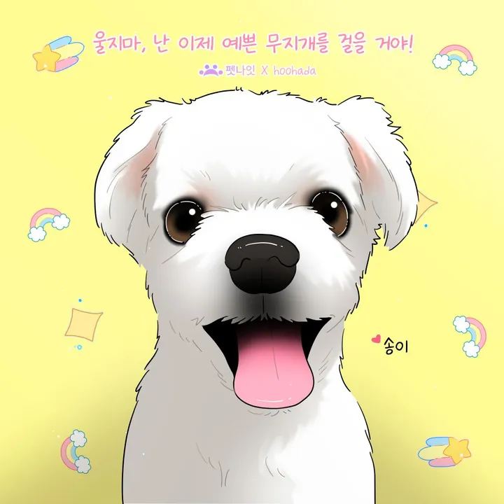 송이 보호자님의 후기 사진