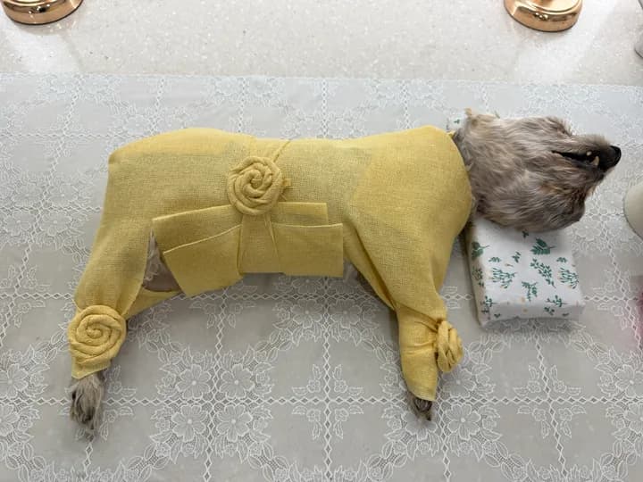 반달이 보호자님의 후기 사진