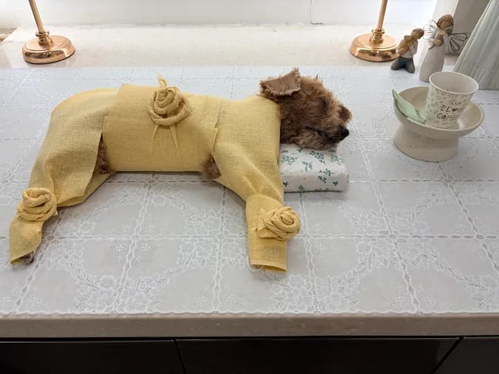 마루 보호자님의 후기 사진