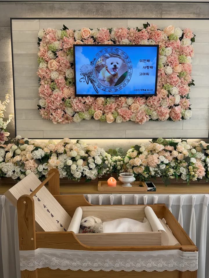 아리 보호자님의 후기 사진