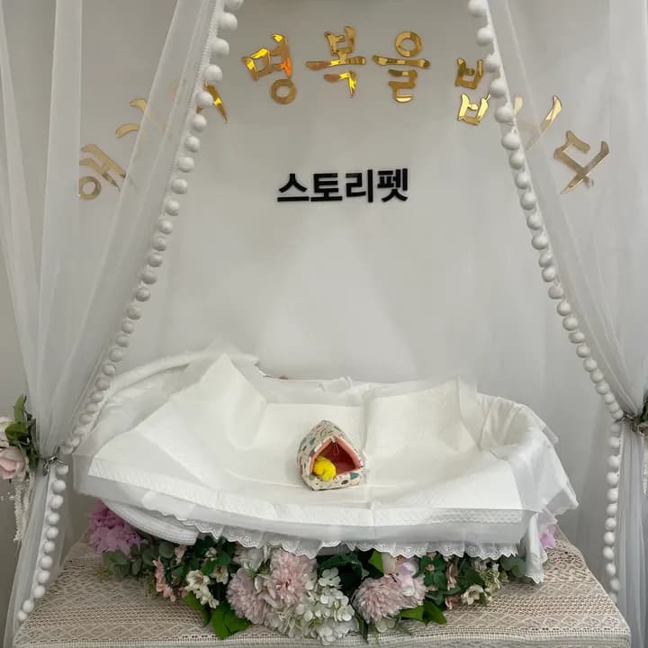 호두 보호자님의 후기 사진
