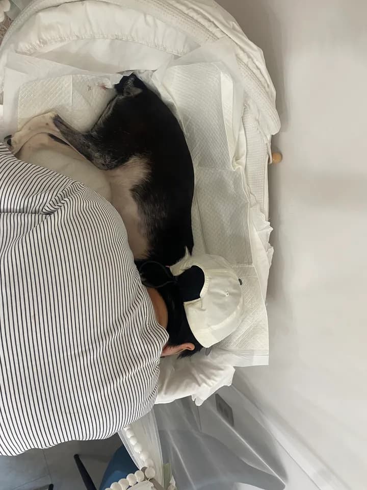 안웅 보호자님의 후기 사진