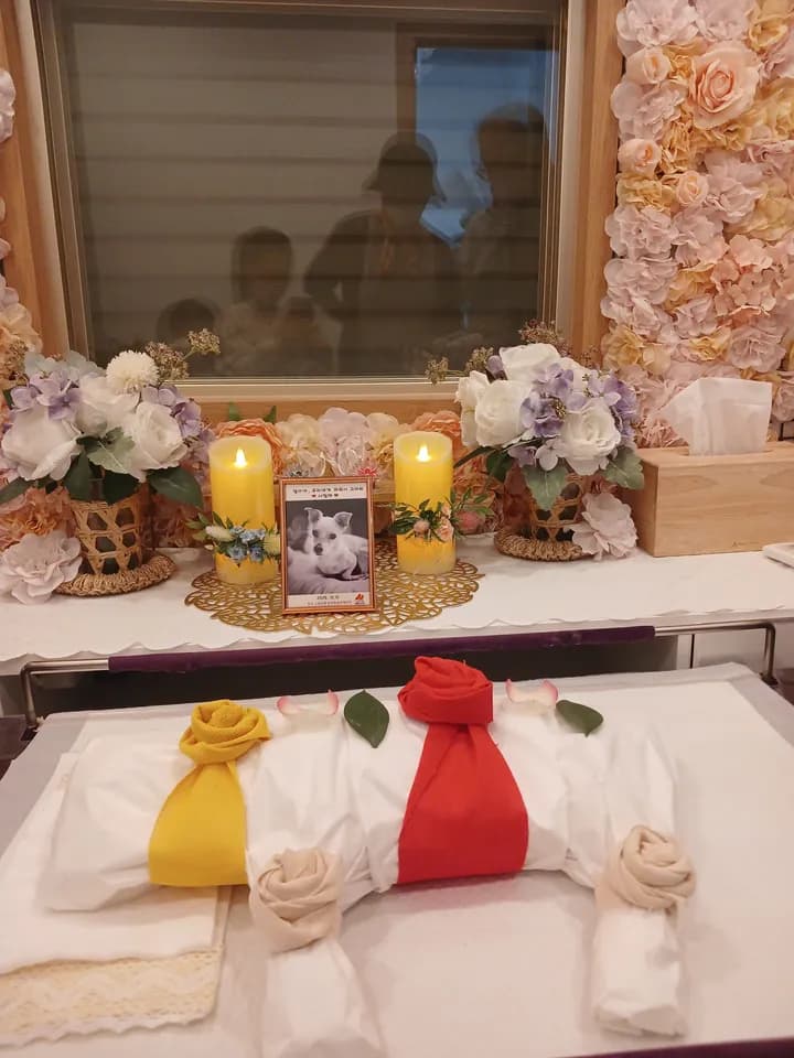 설이 보호자님의 후기 사진