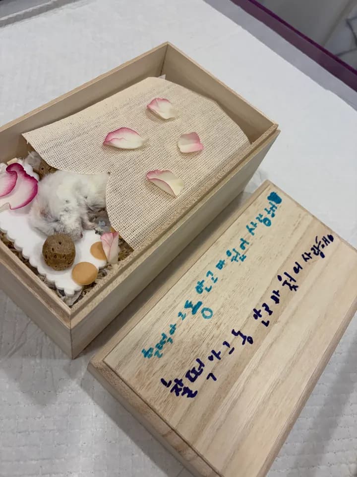 찰떡이 보호자님의 후기 사진