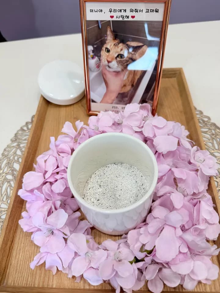 미니 보호자님의 후기 사진